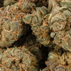 Buy AK47 Weed Strain Online