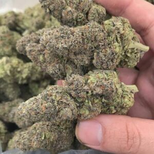 Buy Alien OG Strain Online