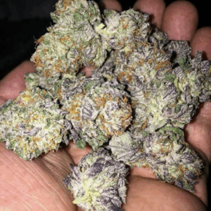 Buy Pink Runtz Strain Online