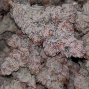 Buy Runtz Strain Online