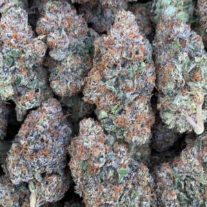 Italian-Ice-strain