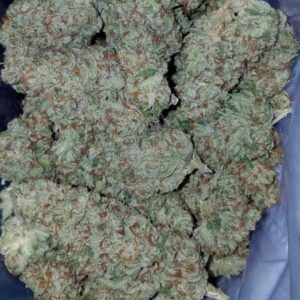 Jacks-Girl-Strain