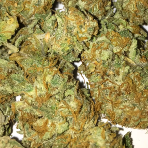 Buy Chemdawg Weed Strain Online