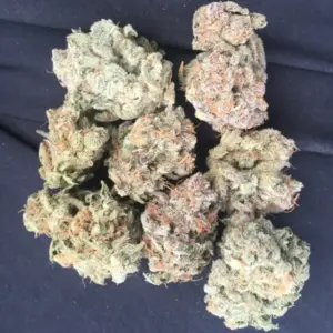 Buy Gelato Weed Strain Online