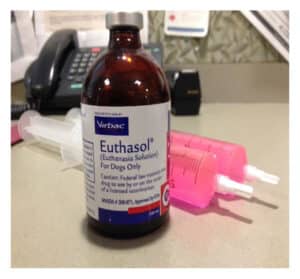 Buy Euthasol Euthanasia 2 Buy Euthasol Euthanasia