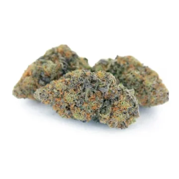 Buy Acai Berry Gelato Strain Online 4 Buy Acai Berry Gelato Strain Online - Image 4