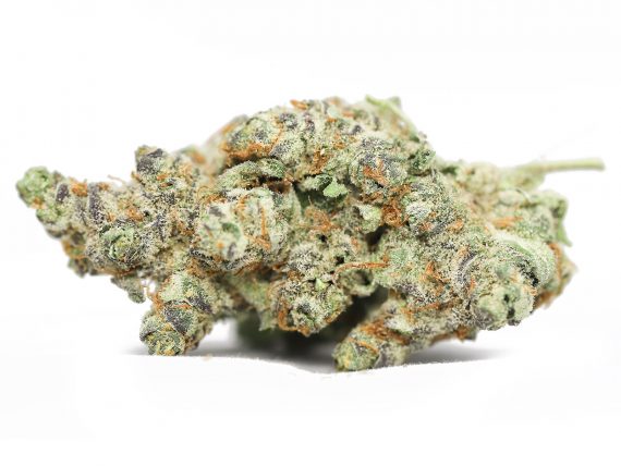 Buy Acai Berry Gelato Strain Online 3 Buy Acai Berry Gelato Strain Online - Image 3