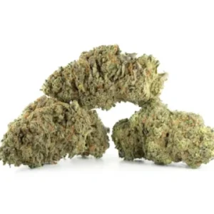 Buy Amnesia Haze Strain Online
