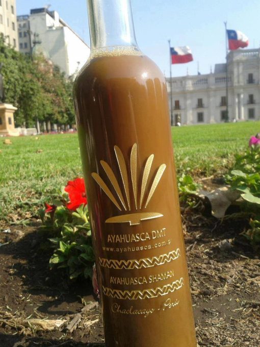 Buy Ayahuasca Tea Online 5 Buy Ayahuasca Tea Online - Image 5
