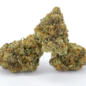 Buy Biscotti Strain Online