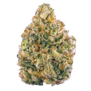 Buy Cookies Gelato Strain Online