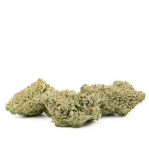 Buy Durban Poison Strain Online