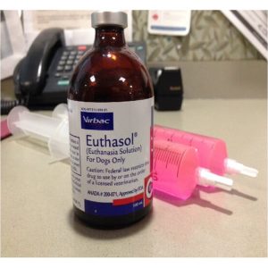 Buy Euthasol Euthanasia Online