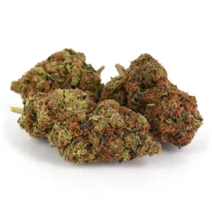 Buy Girl Scout Cookies AAA Online