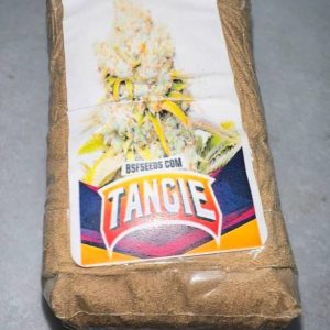 Buy Tangie Hash Online