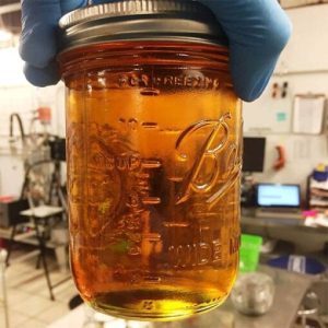 Buy Delta 9 THC Distillate Oil Online