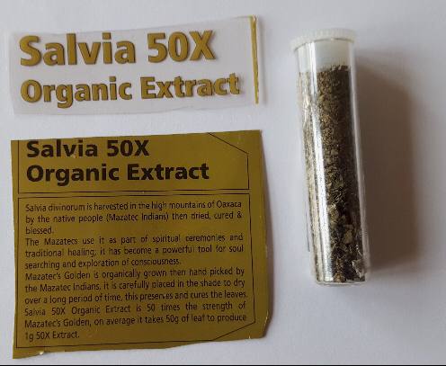Buy Organic Salvia Plant Online 2 Buy Organic Salvia Plant Online - Image 2