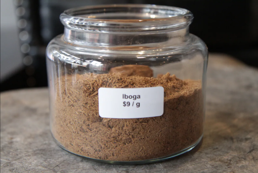 Buy Ibogaine Capsules Online 5 Buy Ibogaine Capsules Online - Image 5