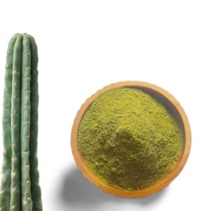 Buy San Pedro Powder Online: Premium San Pedro Powder for Psychoactive and Botanical Research