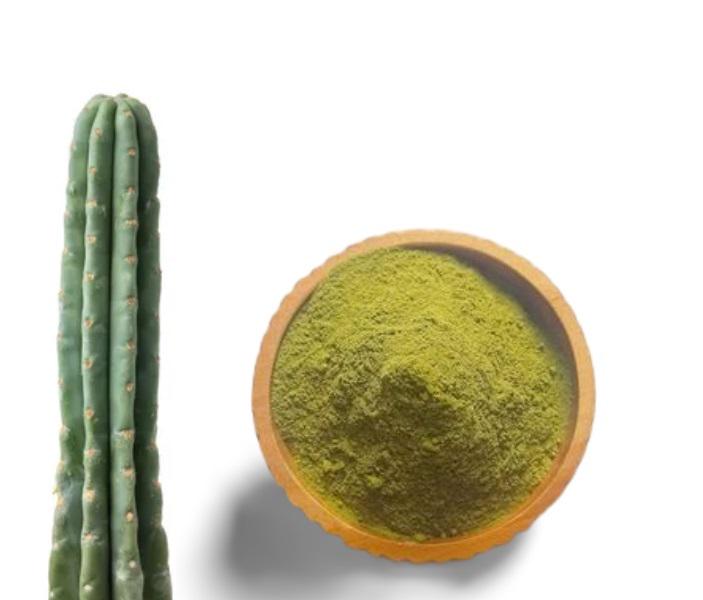 Buy San Pedro Powder Online: Premium San Pedro Powder for Psychoactive and Botanical Research 1 Buy San Pedro Powder Online: Premium San Pedro Powder for Psychoactive and Botanical Research