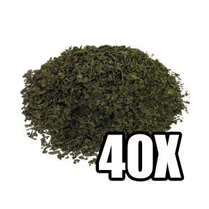 Buy Salvia Extract 40X Online: Premium Salvia Extract
